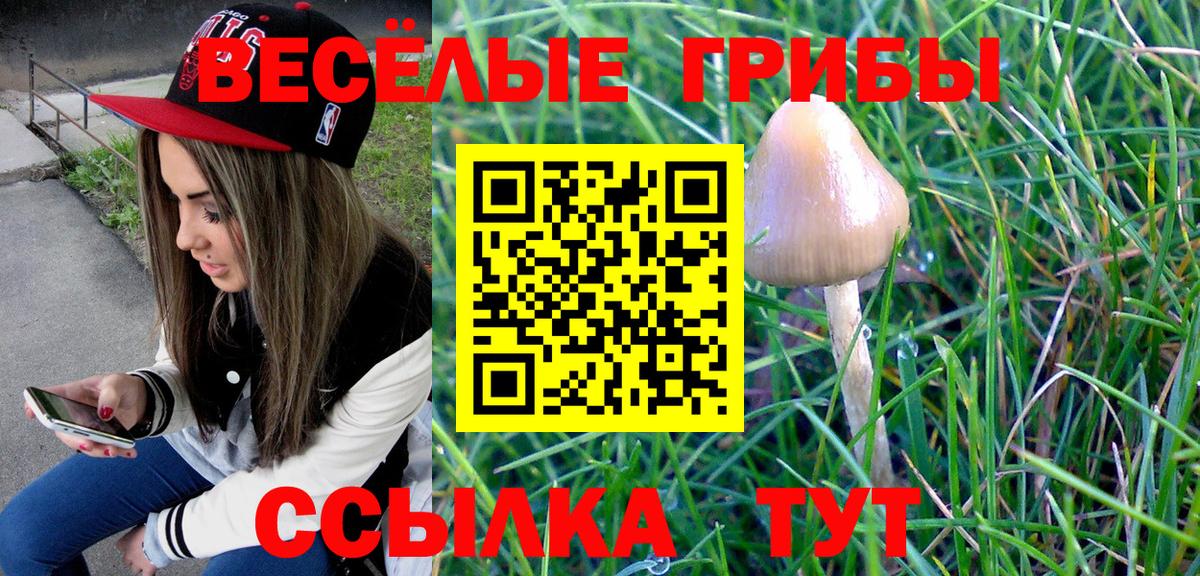 Галлюциногенные грибы мухоморы Уссурийск