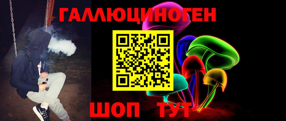 Псилоцибиновые грибы GOLDEN TEACHER  наркотики  Уссурийск  Вход с VPN 