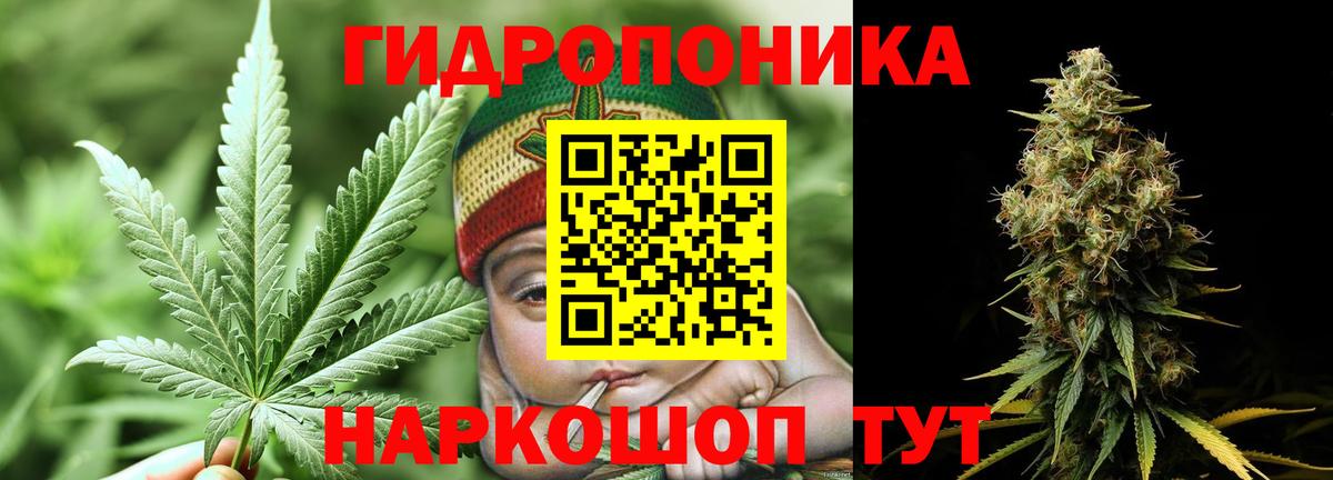 Конопля SATIVA & INDICA  Канабис Ganja  Уссурийск  Вход с VPN  Конопля Amnesia 
